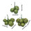 Delicate Simulation Coconuts Vegetable Model Perfect-7 heads 3