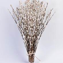 Triani20 piezas de ramas secas de sauce gatito, 15,75", sauces gatitos de nieve preservados con flores blancas – Vegetación rústica para Pascua,