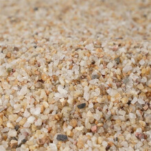 Triani0,7 lb Grovt sandstensgrus (2-4 mm) til sukkulenter, kaktus, bonsai – Naturlig topdressing og dræning – Kompatibel med