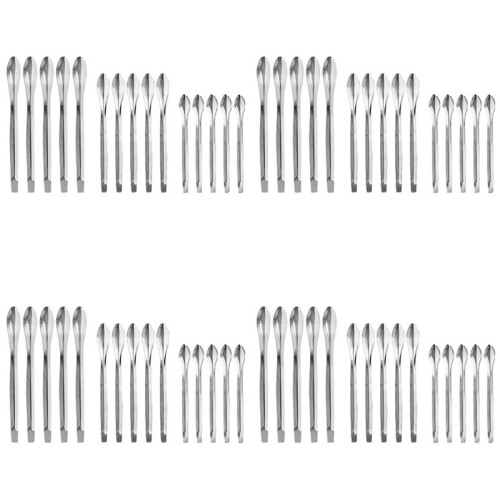 60PCS Lab Spatula Stainless Steel Lab Spoon  Scoop Laboratory Tiny Spoon for Reagent Sampling Mixing