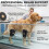(2211) Dog Knee Brace - Adjustable Joint Support 4