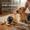 (2211) Dog Knee Brace - Adjustable Joint Support 6