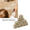 Dice Word Game for Camping Fun 1