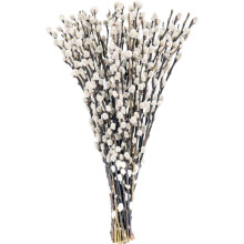 Ensemble de 20 véritables branches de saule séchées, 40 cm (15,8 po), branches de saule blanches portables pour la décoration intérieure,