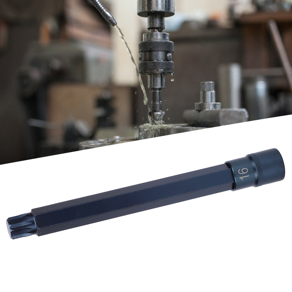 12ÂPoint Alloy Steel Screwdriver Socket Set 1/2X200mm Blueing 9431391483041
