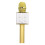 Wireless Bluetooth Microphone, 1200mAh Rechargeable Handheld Karaoke Mic (255x73mm) 2