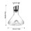 Iceberg wine decanter with aerator and waterfall filter 3
