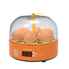 6 Egg Incubators Temperatur Gashapon Temperature and Hatching With Digital Manual All in One Small Appliances