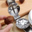 Multifunction Nutcracker Chestnut Opener Stainless Steel 17x5.5cm 15