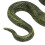 Lebensechtes PVC-Schlangenmodell, Bildungs-Schlangenfigur Dekoration 11