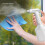 Automatic Electric Plant Spray Bottle 1.5L Touch Setting, Rechargeable 10