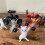 Raised Hands Dancing Cat Figures Set 1