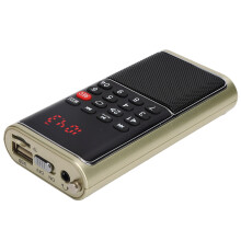 L-338 Portable FM Radio, 3W, Golden, USB/Card Slot, ABS