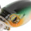 Mini Angelköder 6,2cm ABS Mikro Trolling Köder für Süßwasser & Salzwasser 10