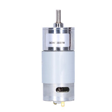 DC24V 300RPM Gear Motor 10W with 6mm Shaft, Stainless Steel Precision