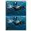 Underwater 150M Scuba Dive Light Strobe Beacon Diving Signal Light Night Dive Flashing  Light C 5
