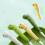 Hariumiu Kids Fork and Spoon Set Stainless Steel 2 pcs 5