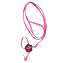Adjustable Nylon Bird Harness & Leash for Parrots, 120cm, Rose