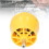 PVC Thread Maker Tool Set, Reusable Pipe Threader Kit for Electric Drill 15