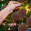 12-Piece Flocked Christmas Tree Balls, 6 cm, Coffee 4