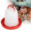 Chicken Water Trough for Kitchen Dining Red 3