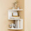 Corner Shelf Wall Mount 3-Tier Bookshelf 2