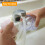 TeqHome Mini Electric Garlic Chopper 8.45 oz 8