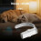 Pet Grooming Hair Dryer High-Power 4