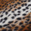 Pet Blanket Soft Plush for Dogs Cats Small Animals Leopard Pattern M Size 13