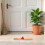Multipurpose Deck Scrub Borstel Met Kunststof 9