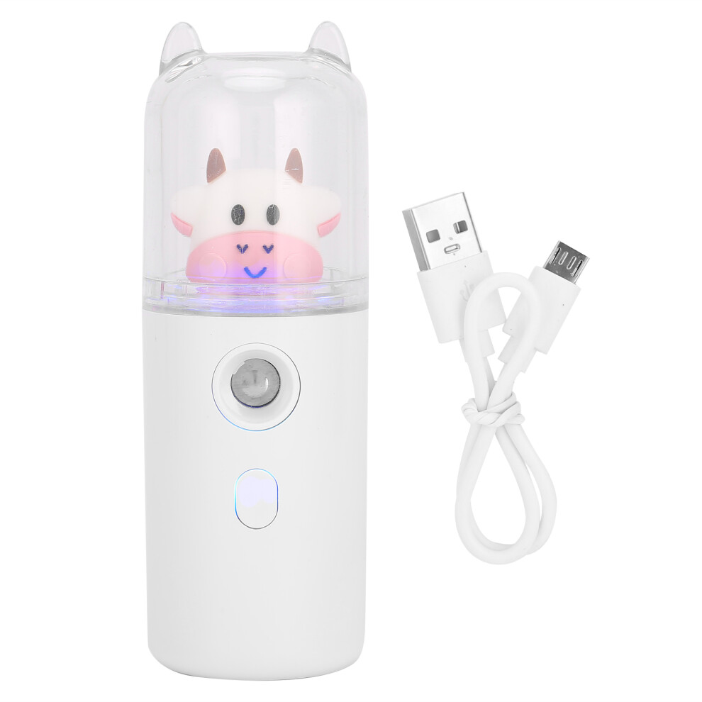 USB Powered 30ml Handheld Mist Spray