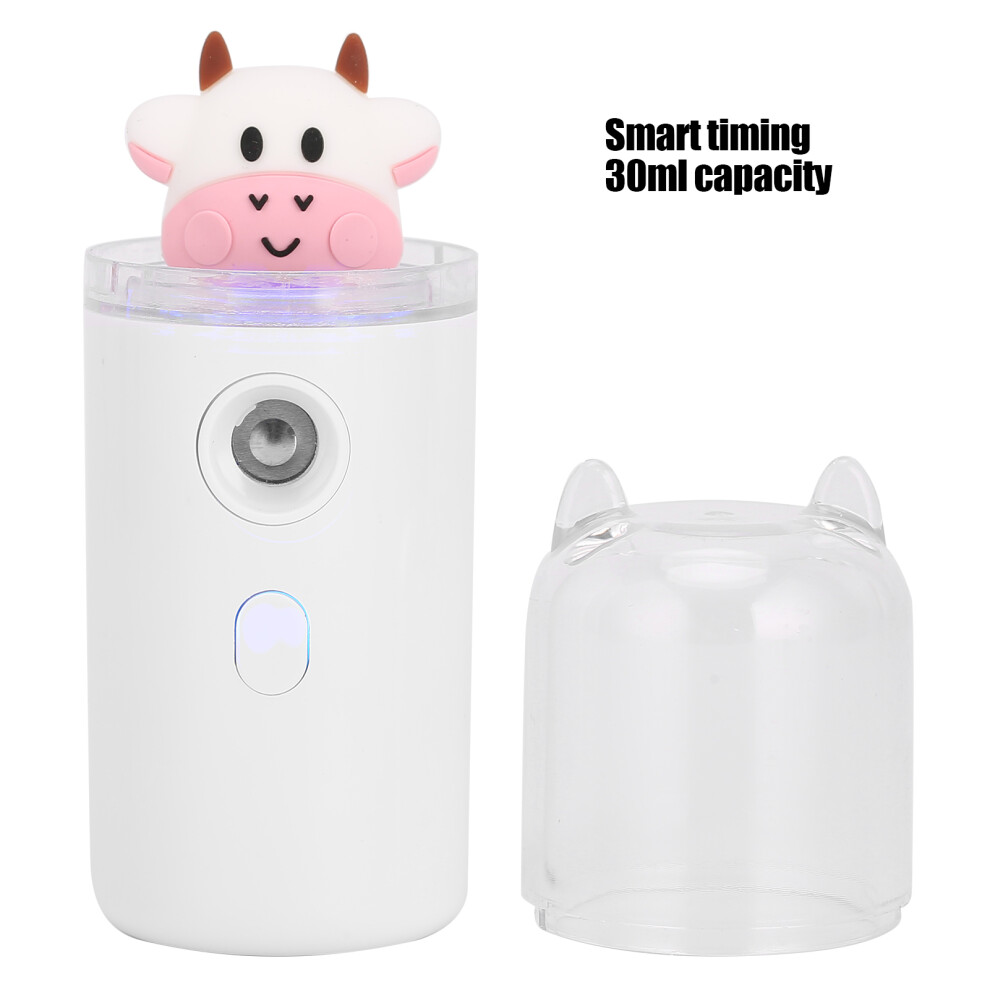 Portable 30ml USB Mist Sprayer Face Hydrator