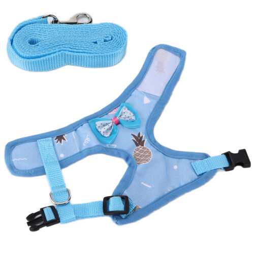 Chicken Training Rope Blue Adjustable Pet Walking Leash for Small Birds 2