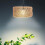 Topbathy 1Set Light Diffusion Small Rattan Lampshade for Ceiling Pendant Lamps in Rustic Setting 2