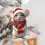 Acrylic Mouse Christmas Ornament Red and White 1 Piece 4