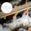 30 Pcs Drinking Fountain Accessories Automatic Water for Chickens White 7