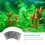 10pcs Fish Tank Divider Set Aquarium Divider Panel Separator for Isolation 4