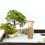 HEMOTON Bamboo Zen Garden Rake Set 1 Set 4