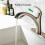 2X Kitchen Faucet Hose Replacement Hose Kit for Moen Kitchen Faucets 159560,Sink Sprayer Hose Replacement 4