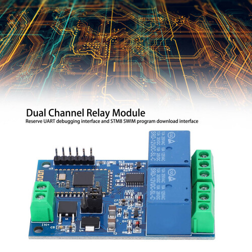 Dual Channel Bluetooth Relay Module Plastic DC12V with App Control 2