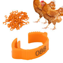 100 Pcs Orange Poultry Foot Rings, Plastic Identification Leg Buckles