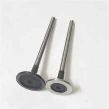 24-Teiliges Einlass- und Auslassventil für C3 C4 208 3008 308 HNX HNY 9801960980 539042 R6936 9807645980 9675073180
