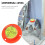 ULTNICE Level Bubble Indicator Acrylic Circular Level 1Set for RVs and Turntables 8