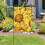 Gartenflagge mit nahtlosem gelbem Sonnenblumenmuster, doppelseitig 5