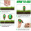 4 in 1 Soil Tester pH Moisture Light Temperature Meter for Plants 4