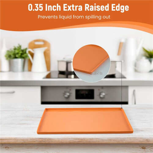 12X Silicone Dehydrator Trays for Making Fruit Leather, Non Stick Dehydrator Trays with Raised  Reusable Mats 2