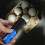 Handheld Egg Incubator Light Convenient Egg Candling Lamp Poultry Incubation Equipment 6