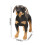 Realistic Dog Plush Toy Interactive 1 Piece 3