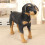 Realistic Dog Plush Toy Interactive 1 Piece 4