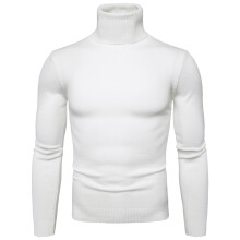 Herretrøje med rullekrave, basislag, slim fit, ensfarvet, langærmet, tætsiddende top, strikvarer, efterår/vinter, bløde jumpertoppe